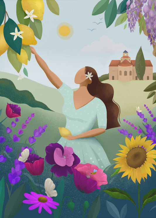 Sommer in der Provence | Poster