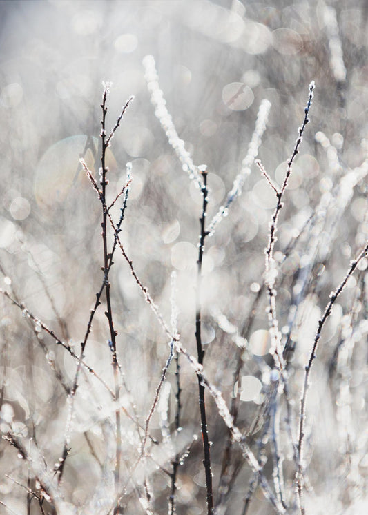 Ein Wintermorgen 4 | Poster