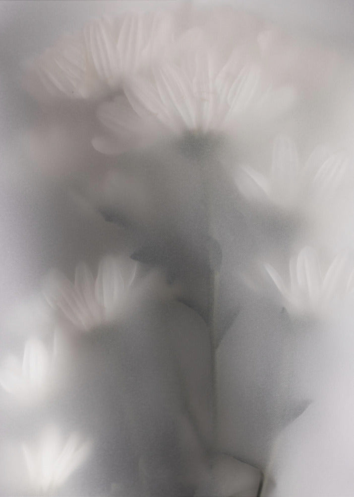 Verschwommene Blumen 4 | Poster
