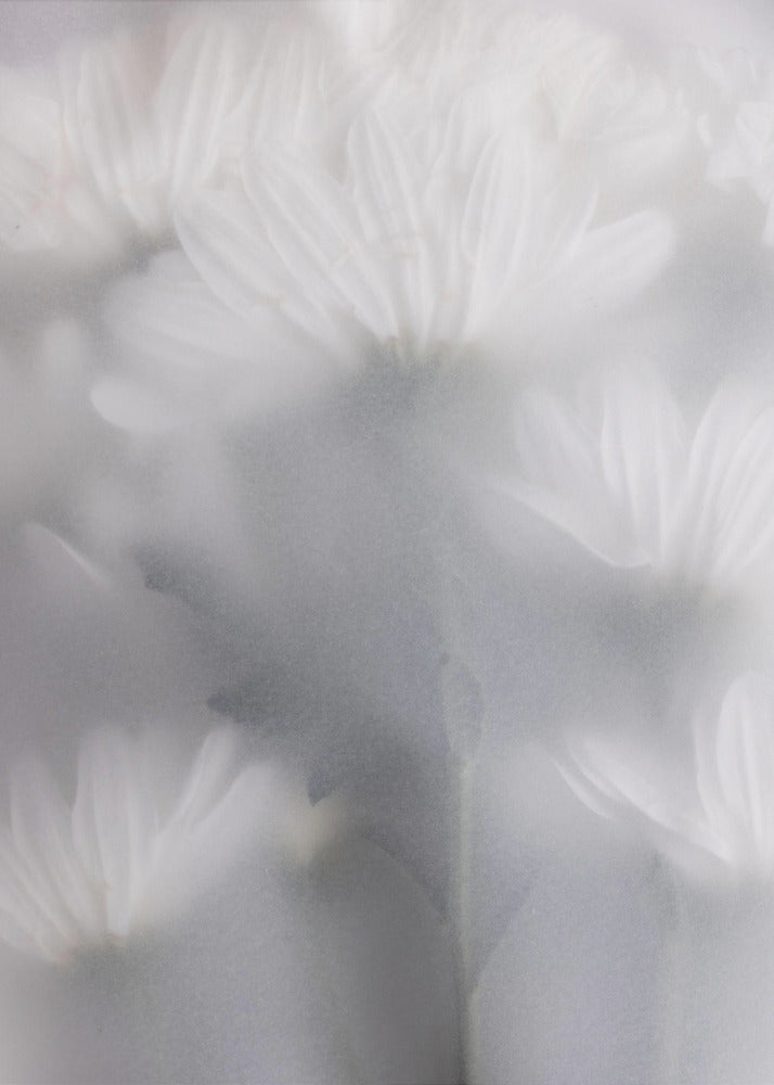 Verschwommene Blumen 6 | Poster