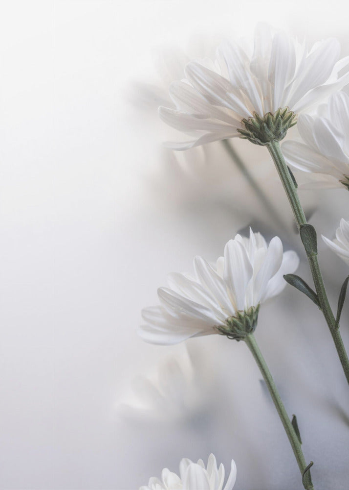 Verschwommene Blumen 8 | Poster