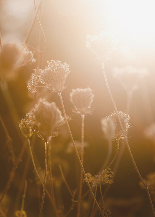 Goldene Stunde 1 | Poster