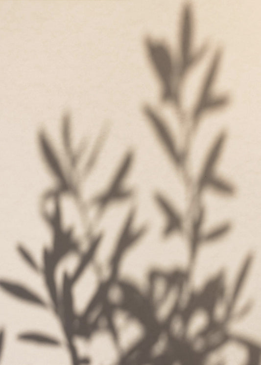 Sommerschatten 6 | Poster