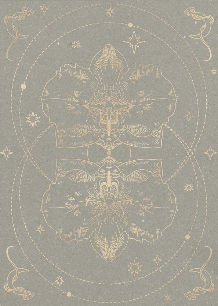 Die mystische Orchidee | Poster