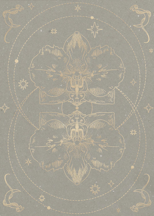 Die mystische Orchidee | Poster