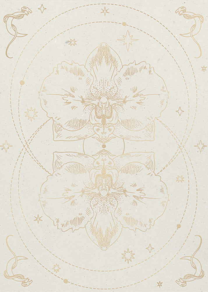 Die mystische Orchidee | Poster