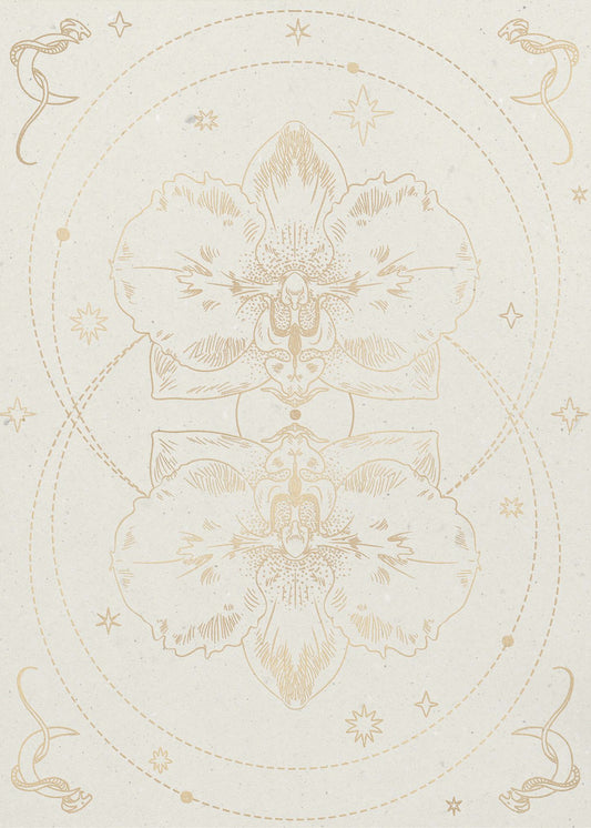 Die mystische Orchidee | Poster
