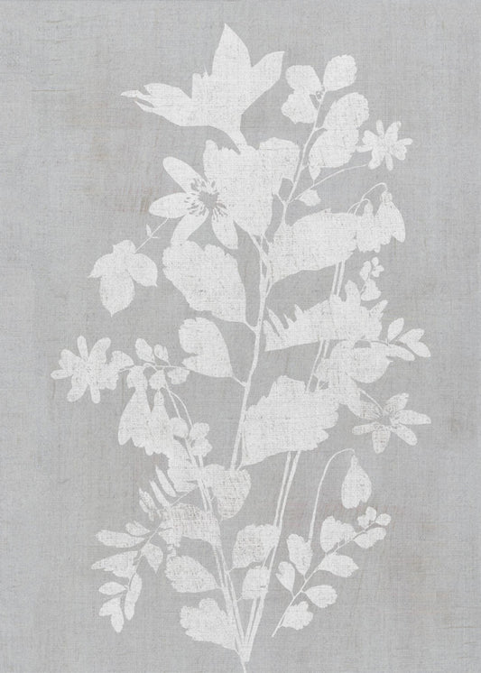 Botanische Illustration 2 | Poster