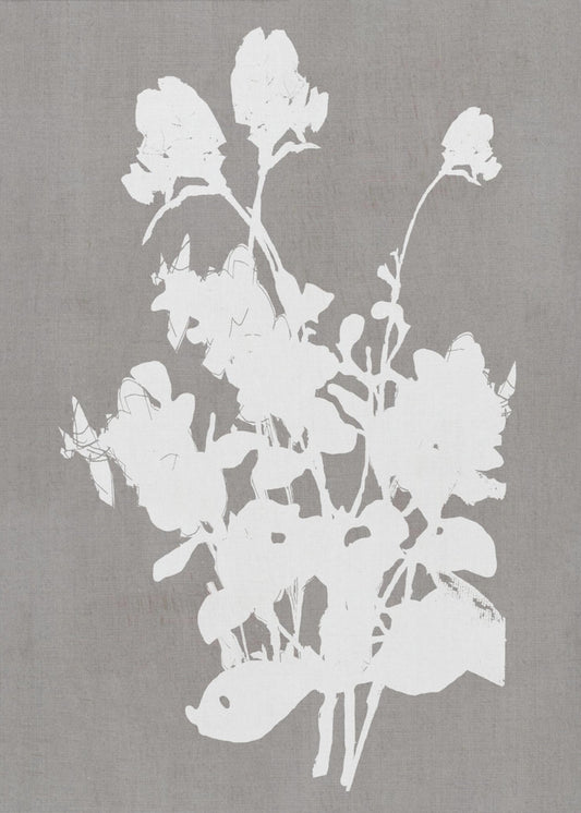 Botanische Illustration 3 | Poster