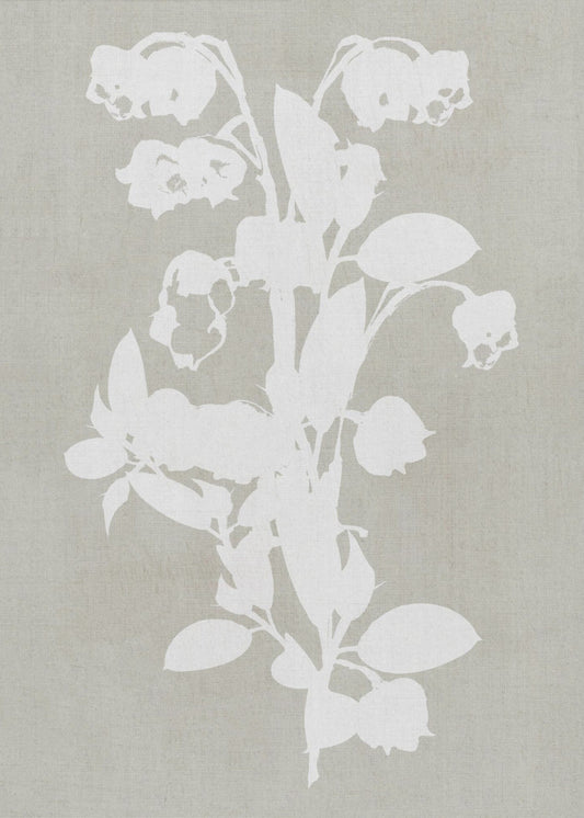 Botanische Illustration 4 | Leinwand