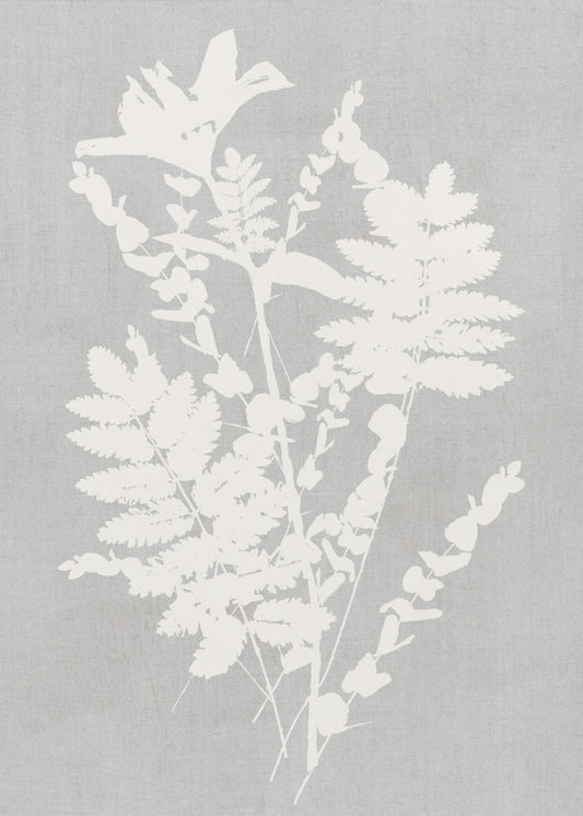 Botanische Illustration 5 | Poster