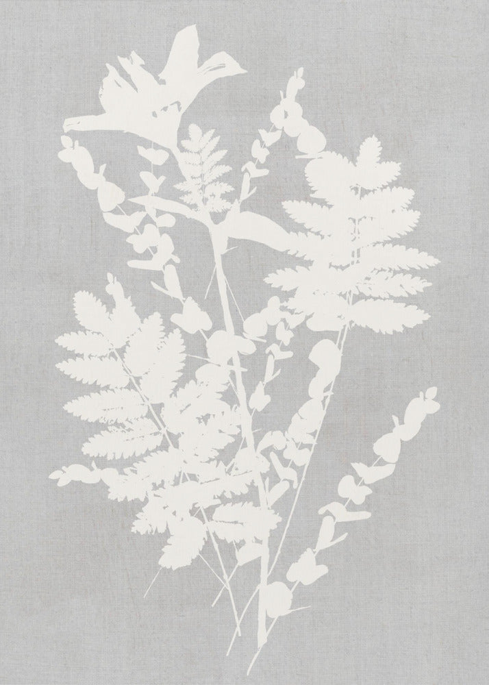 Botanical Illustration 5 | Canvas