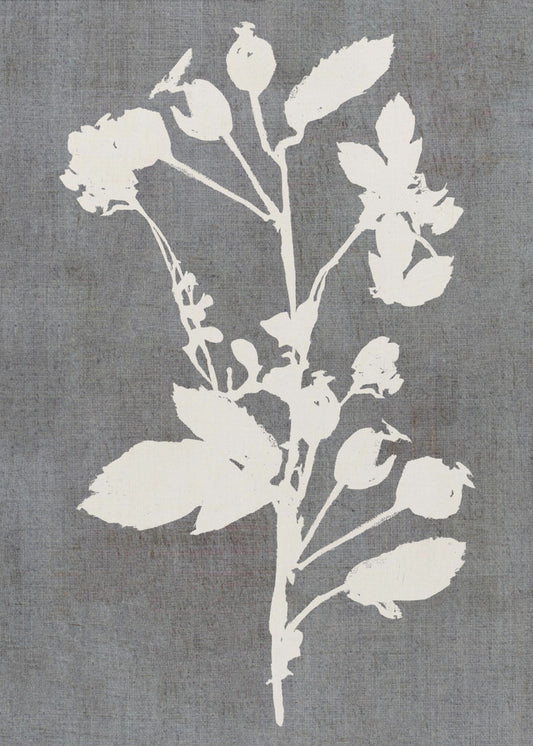 Botanische Illustration 6 | Leinwand