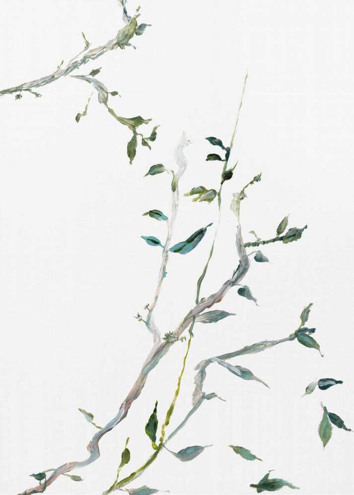 Botanische Zweige Nr. 2 | Poster