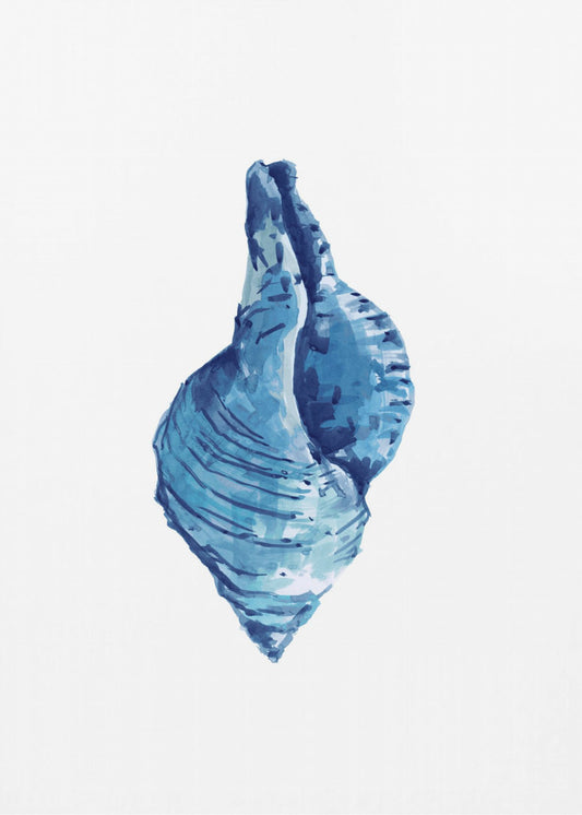 Blaue Muschel auf weißem Hintergrund Nr. 3 | Leinwand
