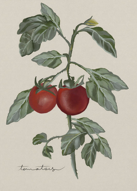 Vintage Garten | Poster