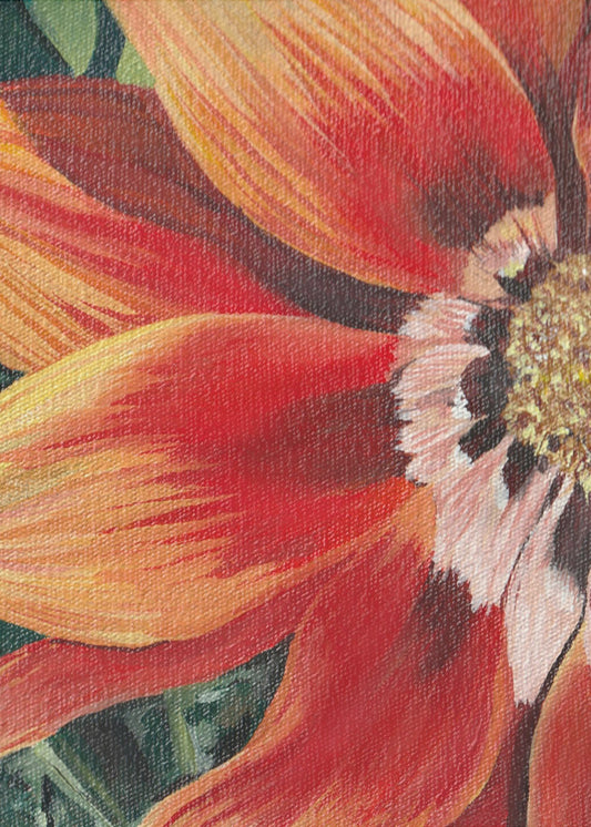 Gazania 1 von Viccy Wanliss | Leinwand