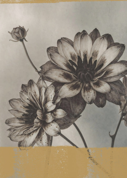 Vintage Blumen Nr. 6 | Leinwand