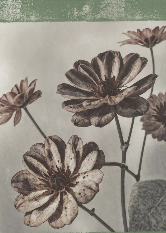 Vintage Blumen Nr. 7 | Leinwand
