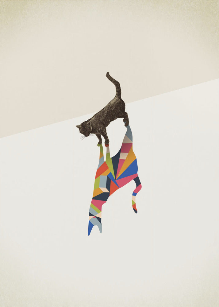Gehender Schatten, Katze | Leinwand