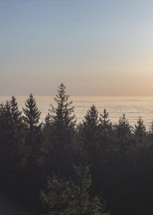 Goldene Stunde 4 | Leinwand