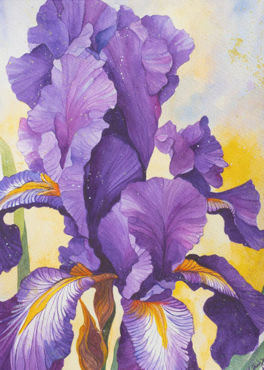 Iris Aquarell | Leinwand