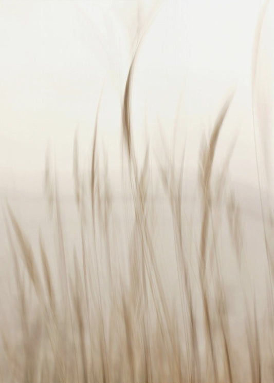Im Wind | Poster