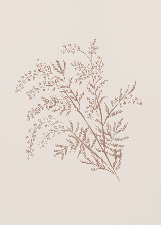 Botanischer Akazienzweig | Leinwand