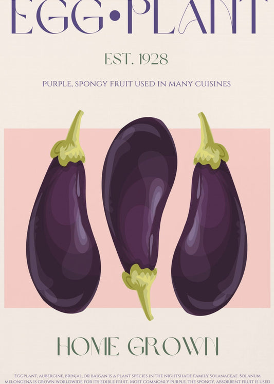 Drei leuchtend lila Auberginen | Poster