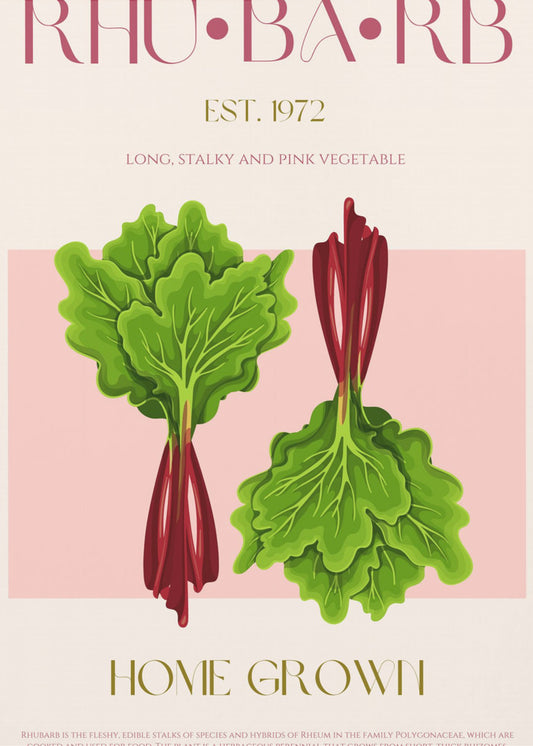 Illustrierter Rhabarber mit leuchtend rosa Stielen | Poster