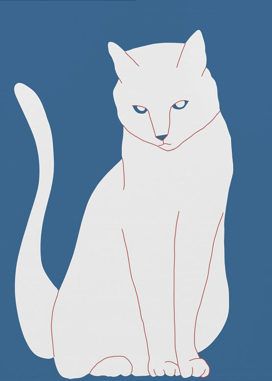 Weiße und blaue Katze | Poster