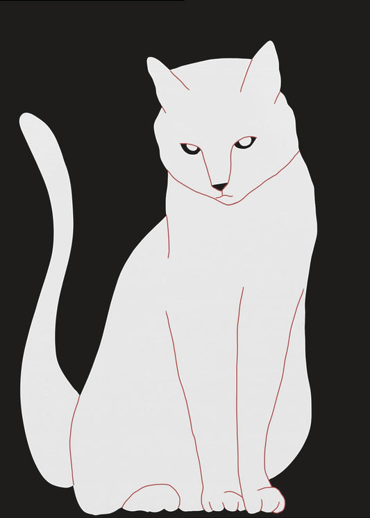 Weiße und schwarze Katze | Poster