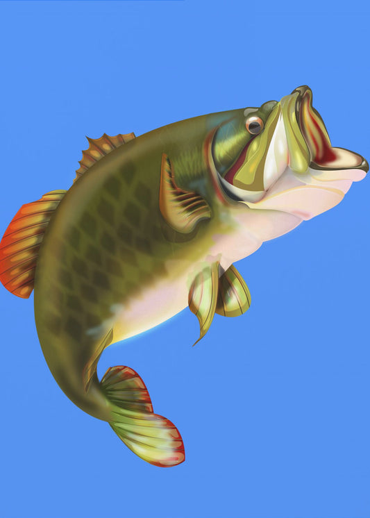 Bassfisch | Poster