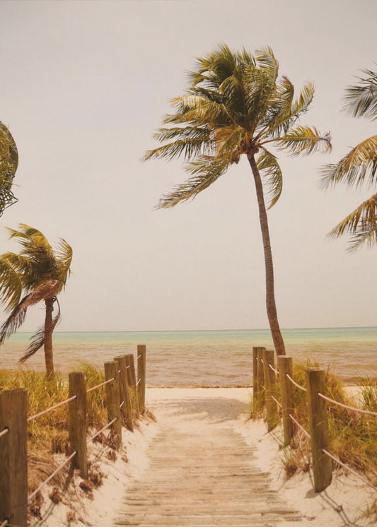 Tropische Paradiesstimmung | Poster