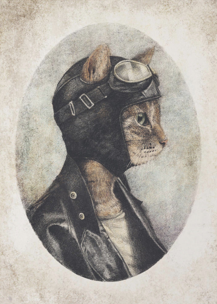 Stilvolle Katze in Lederjacke | Poster