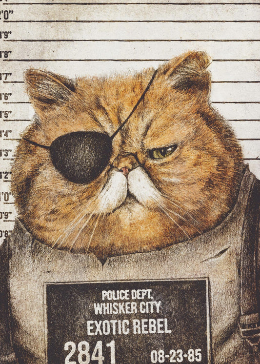 Funny Cat | Poster
