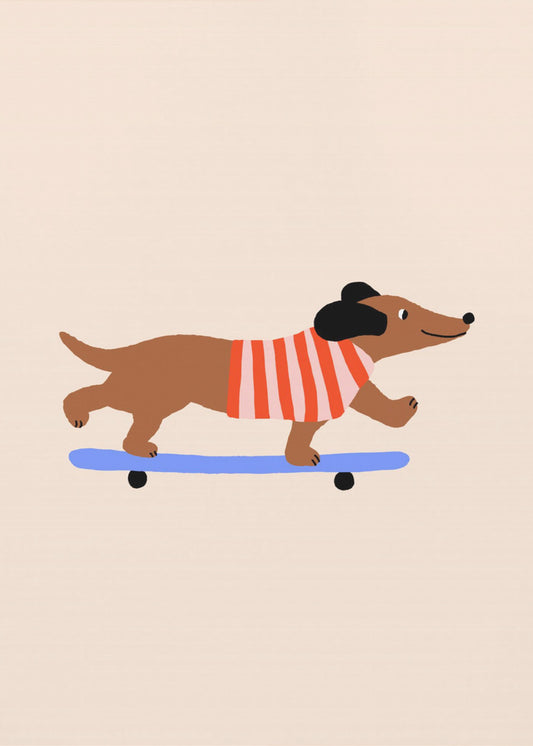 Dackel auf Skateboard | Leinwand