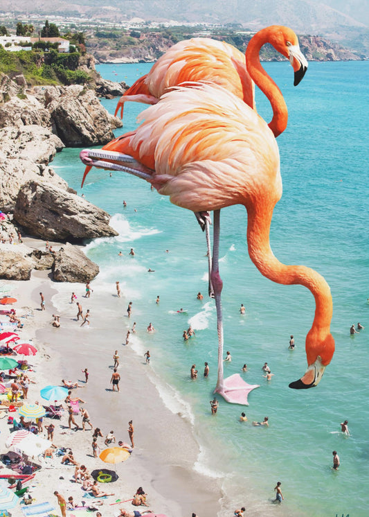 Flamingos am Strand | Leinwand
