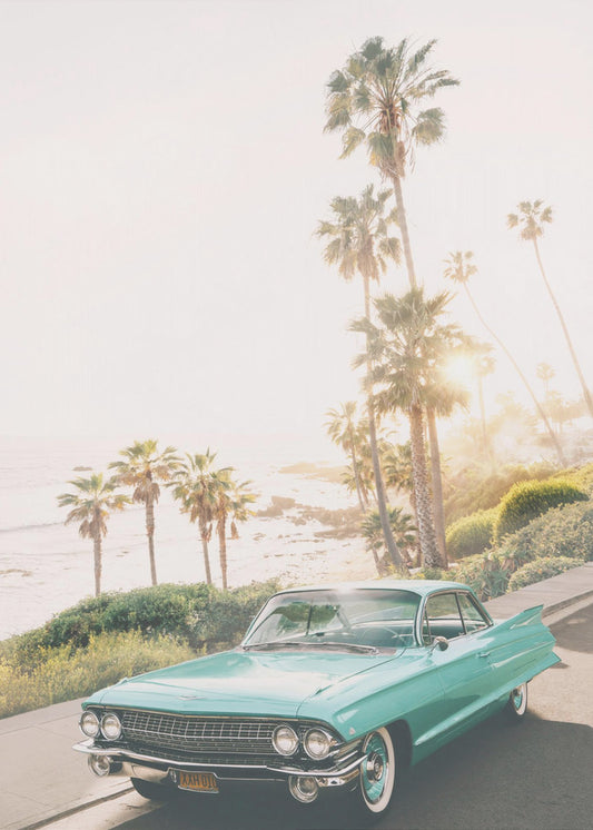 Malibu Classic | Poster