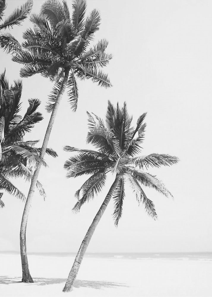 Insel | Poster