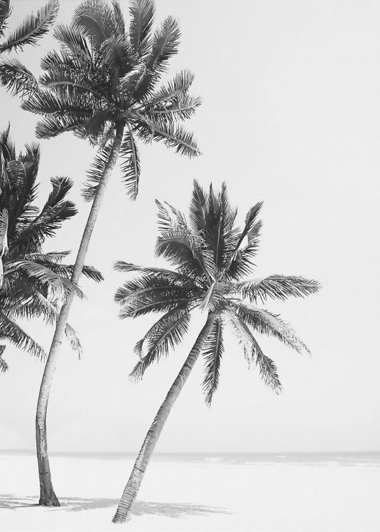 Insel | Poster