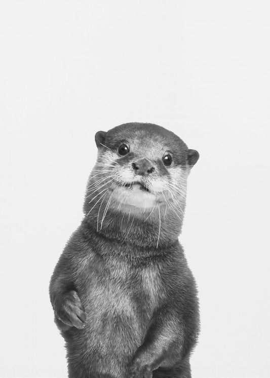 Otter | Leinwand