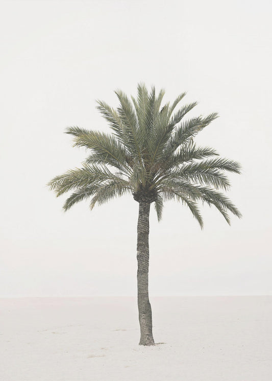 Palme | Leinwand