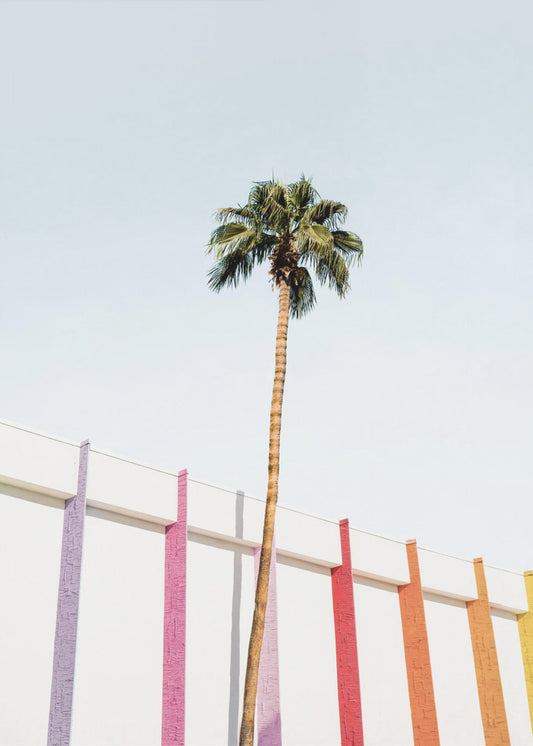 Palm Spring Farben 2 | Leinwand