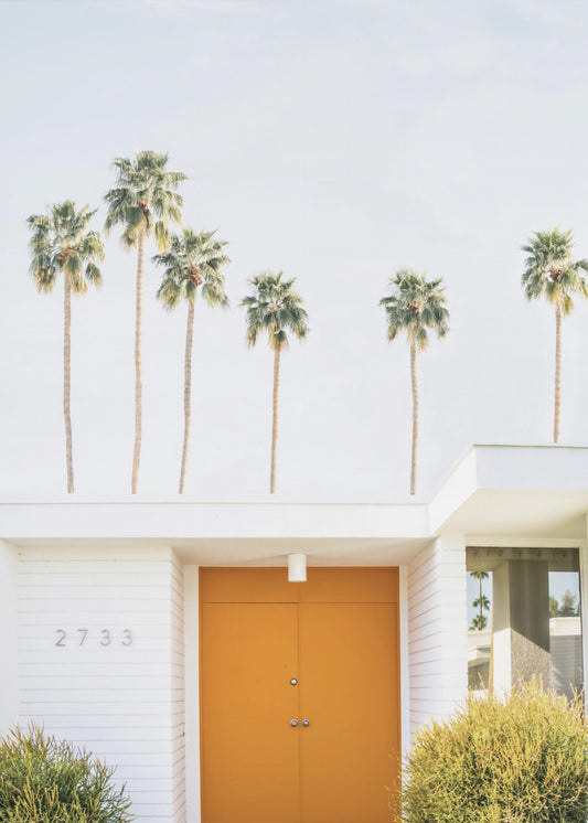 Palm Springs 1 | Poster