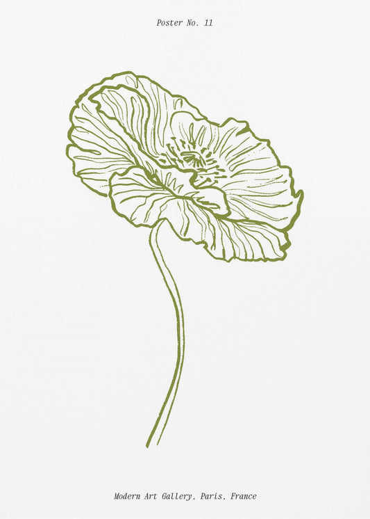 Blasser Mohn Skizze | Poster