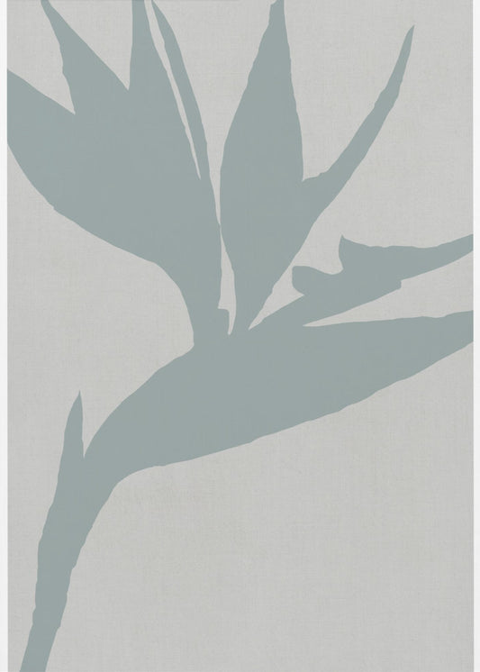 Paradiesvogel | Poster