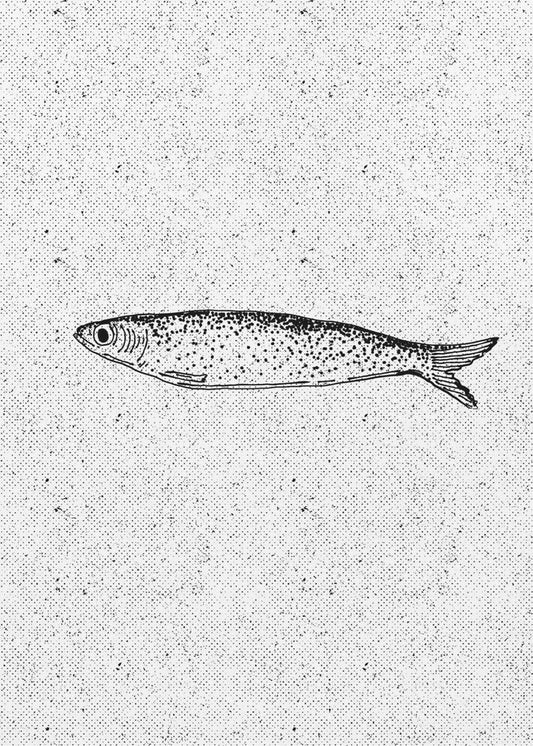 Vintage Fisch Illustration | Leinwand