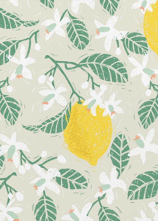 Zitronenbaumblüten | Poster