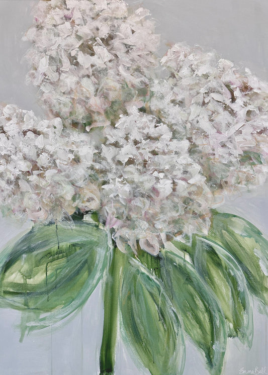 Weiße Hortensienblüte | Leinwand
